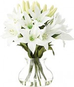 Nearly Natural 1434 Lily Silk Arrangement with Glass Vase