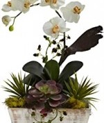 Nearly Natural 1326 Orchid and Succulent Garden with White Wash Planter, White