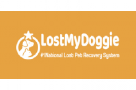 Lost My Doggie