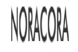 Noracora