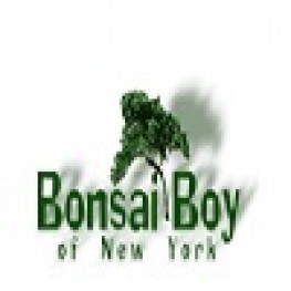 Bonsai Boy coupon codes