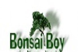 Bonsai Boy