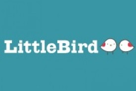 Little Bird